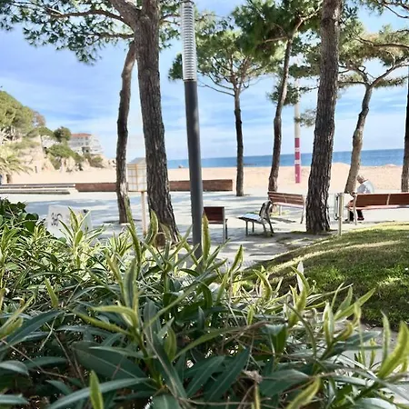 Tamarius Beach Appartamento